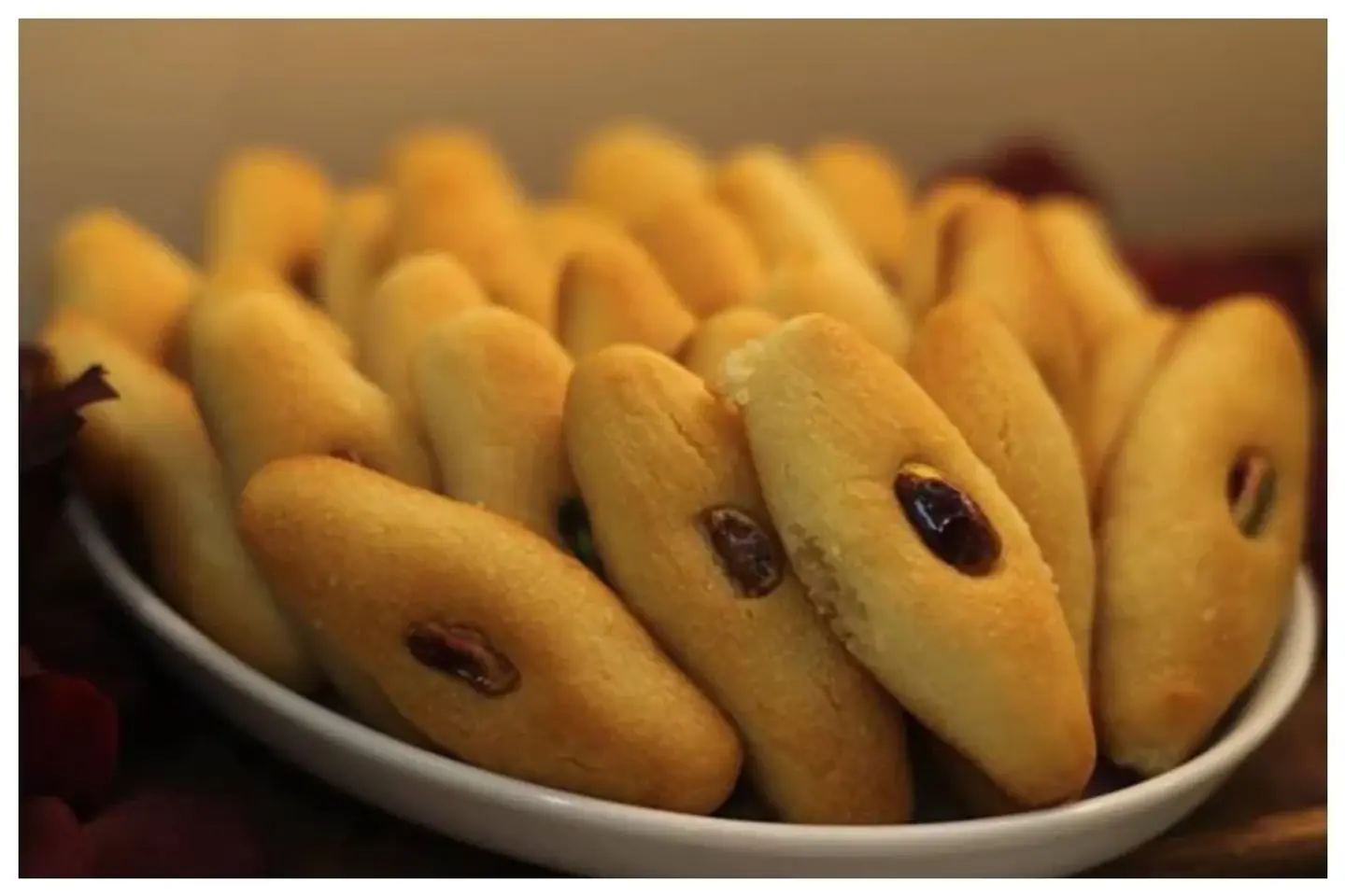 عيون المها سادة