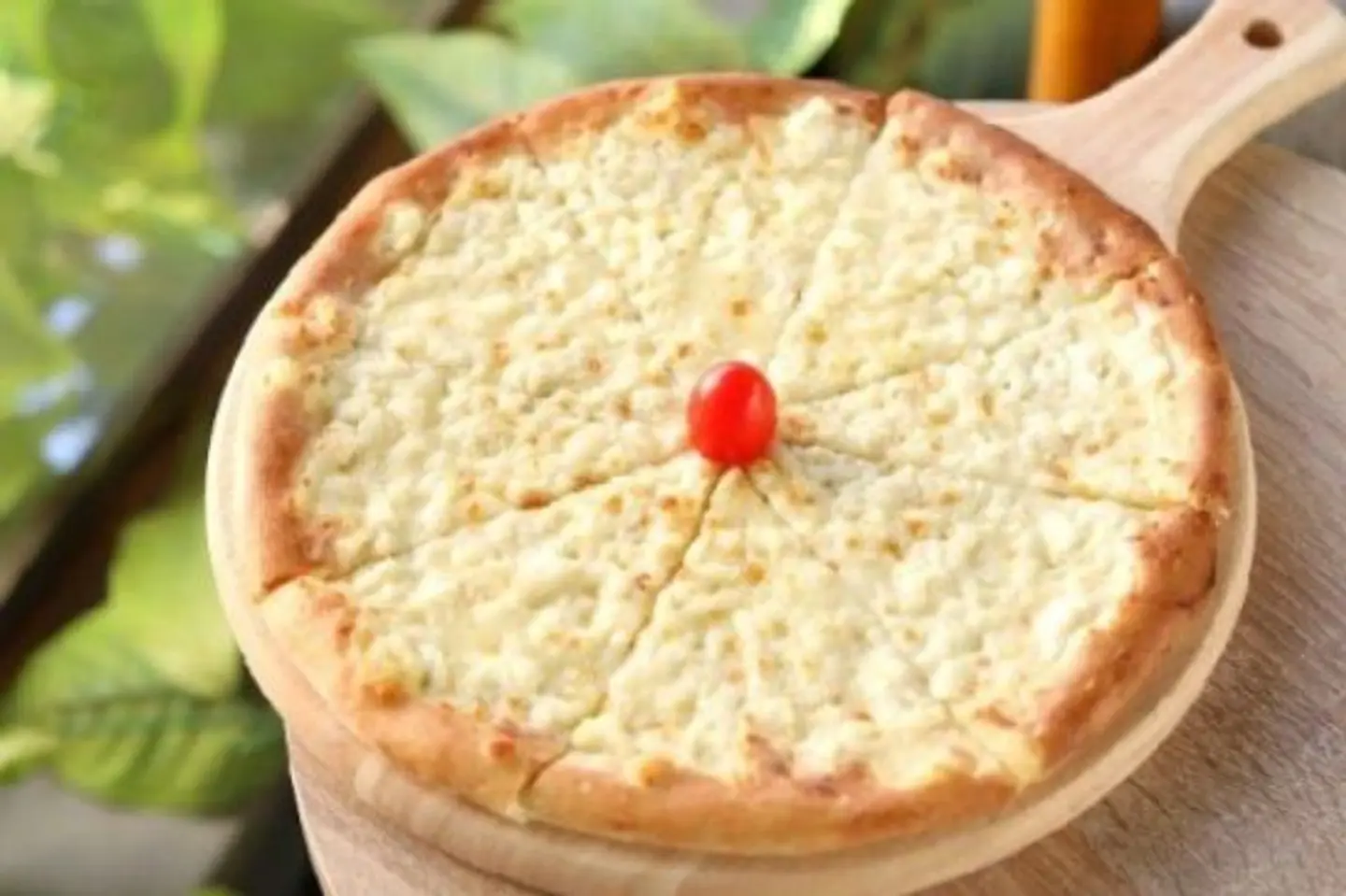 فطيرة جبنة حلوم