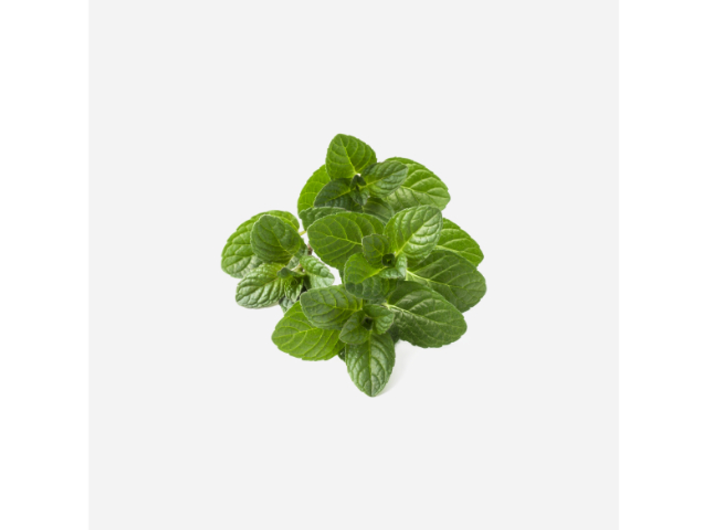 Organic Madinah Mint