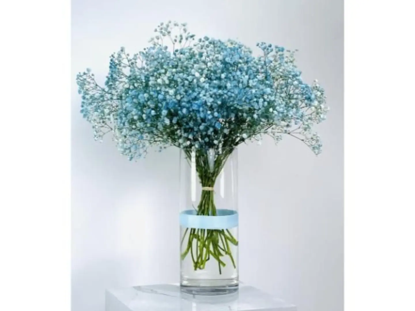 Sky Blue Gypsophila Vase