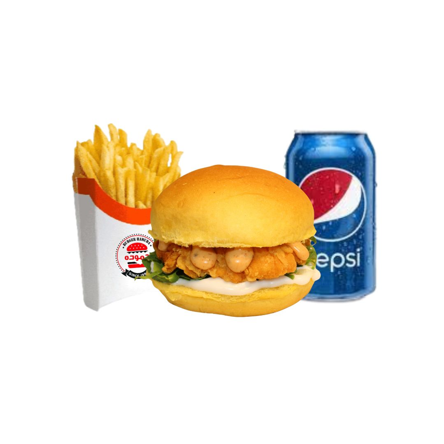 وجبة زنجر دجاج