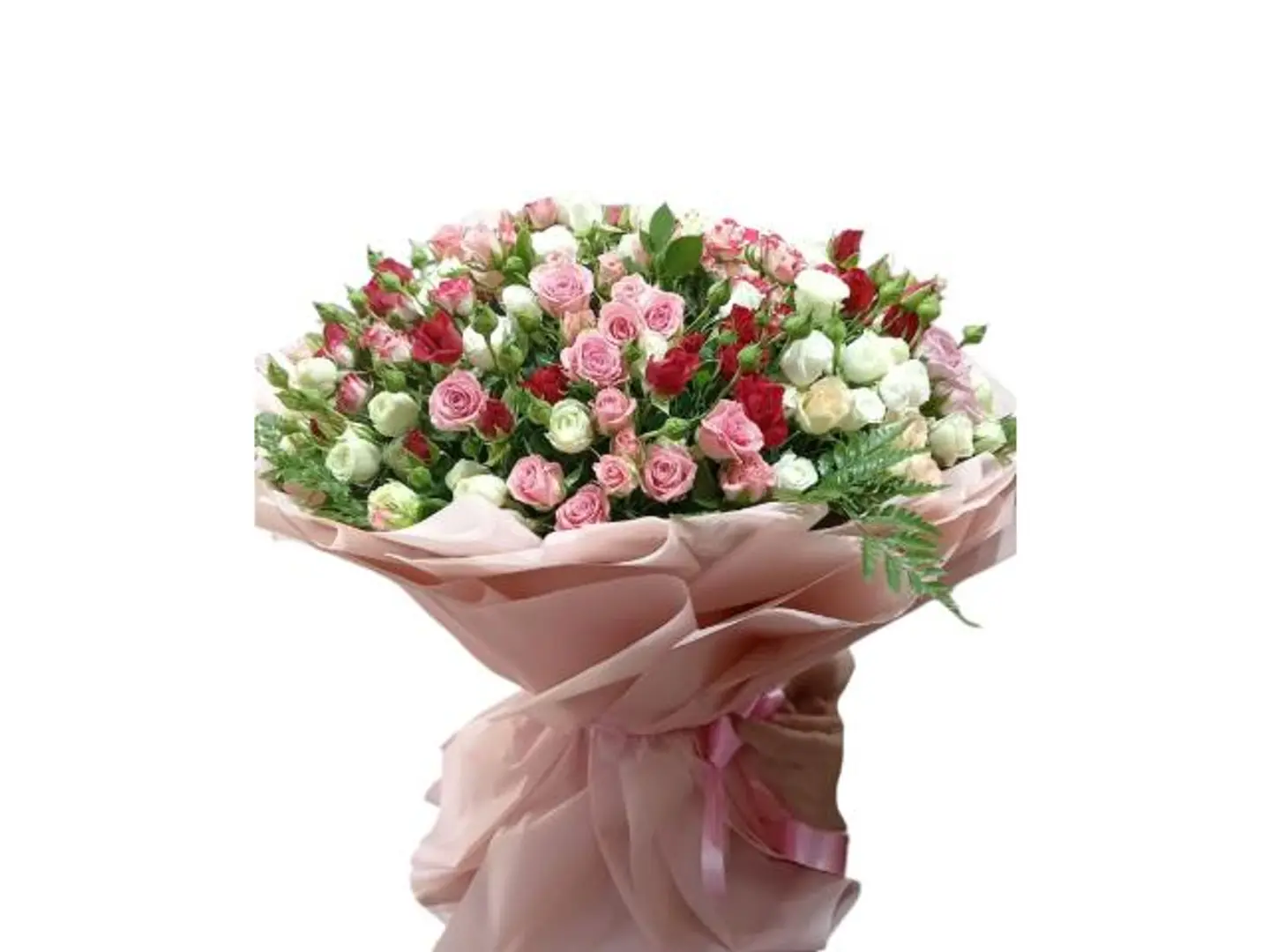Color Harmony Package