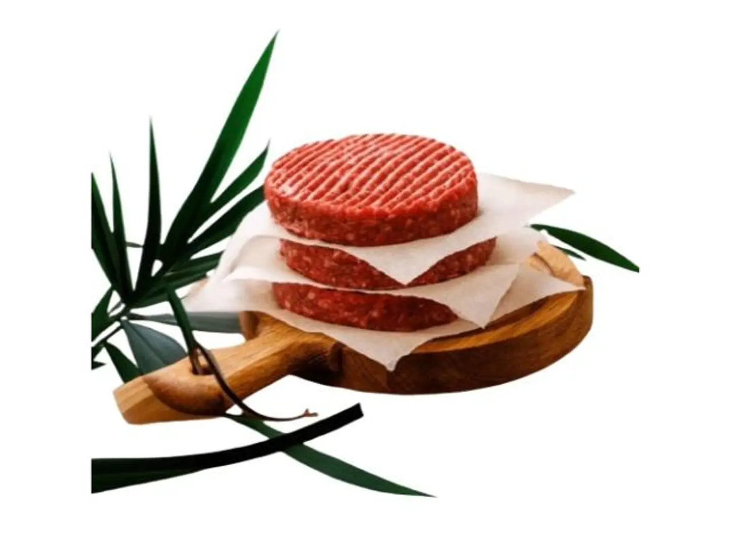 Briskit Burger 100 Grams