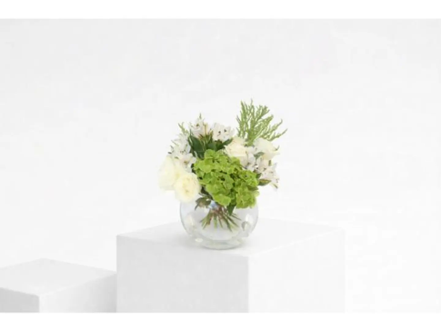 فازة هدرنجا