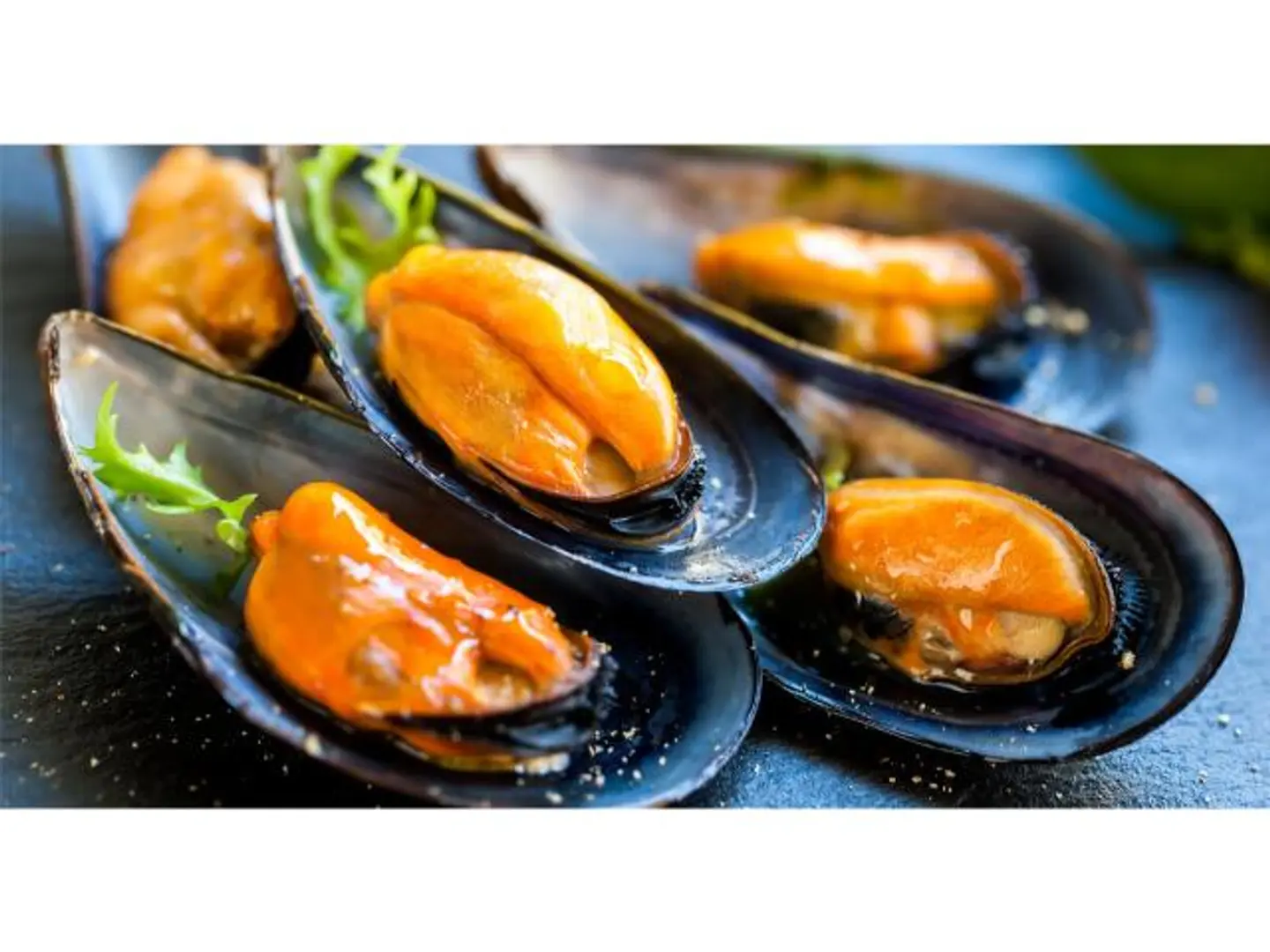Mussels