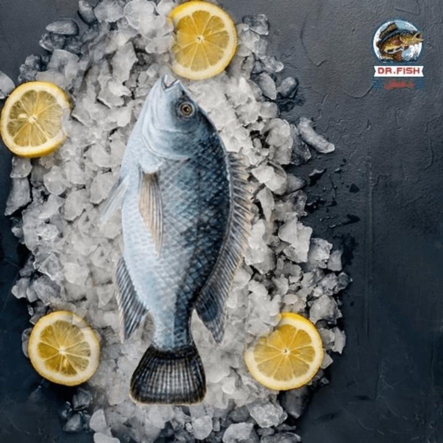 Tilapia Fish 500 Gram