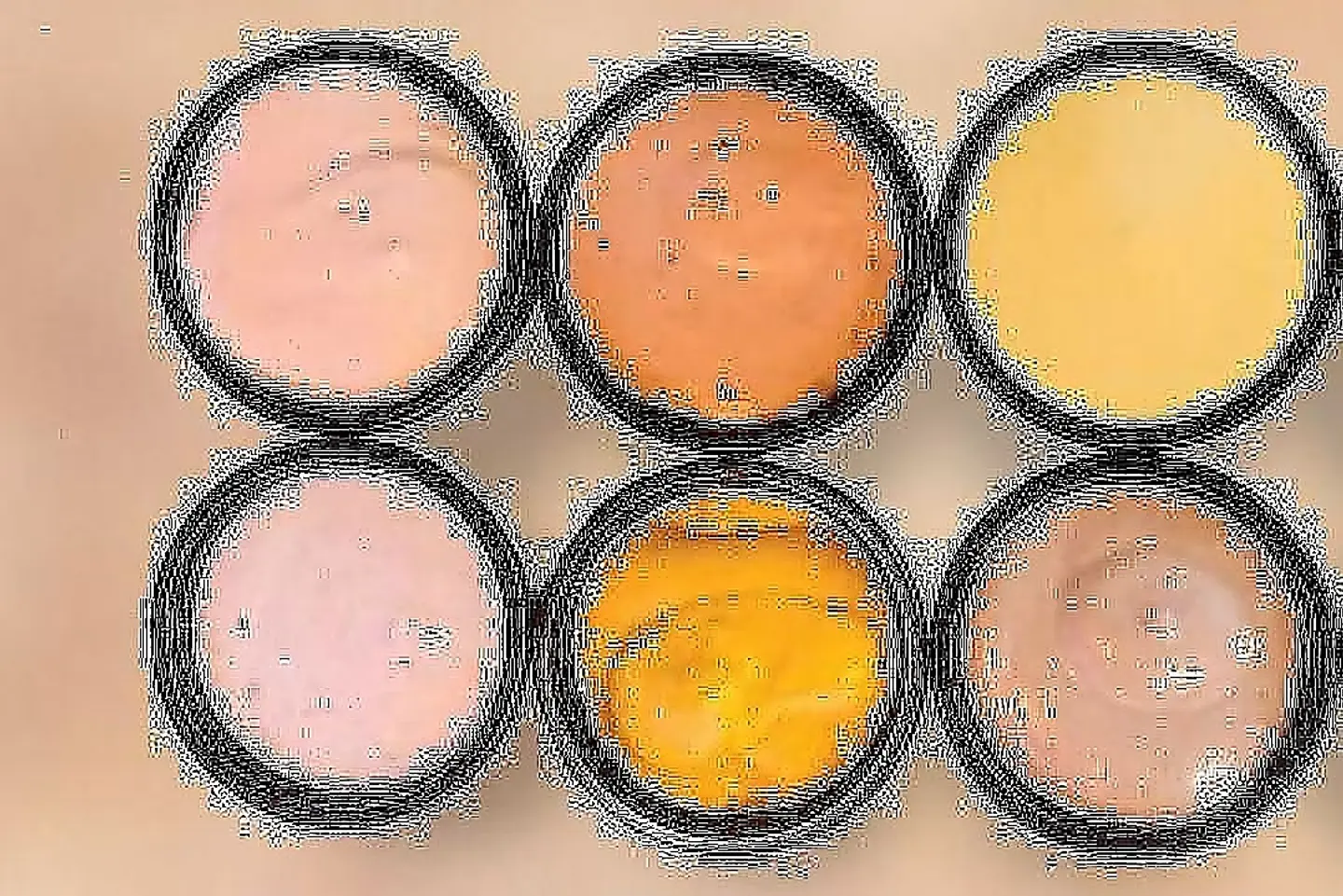 Sauces