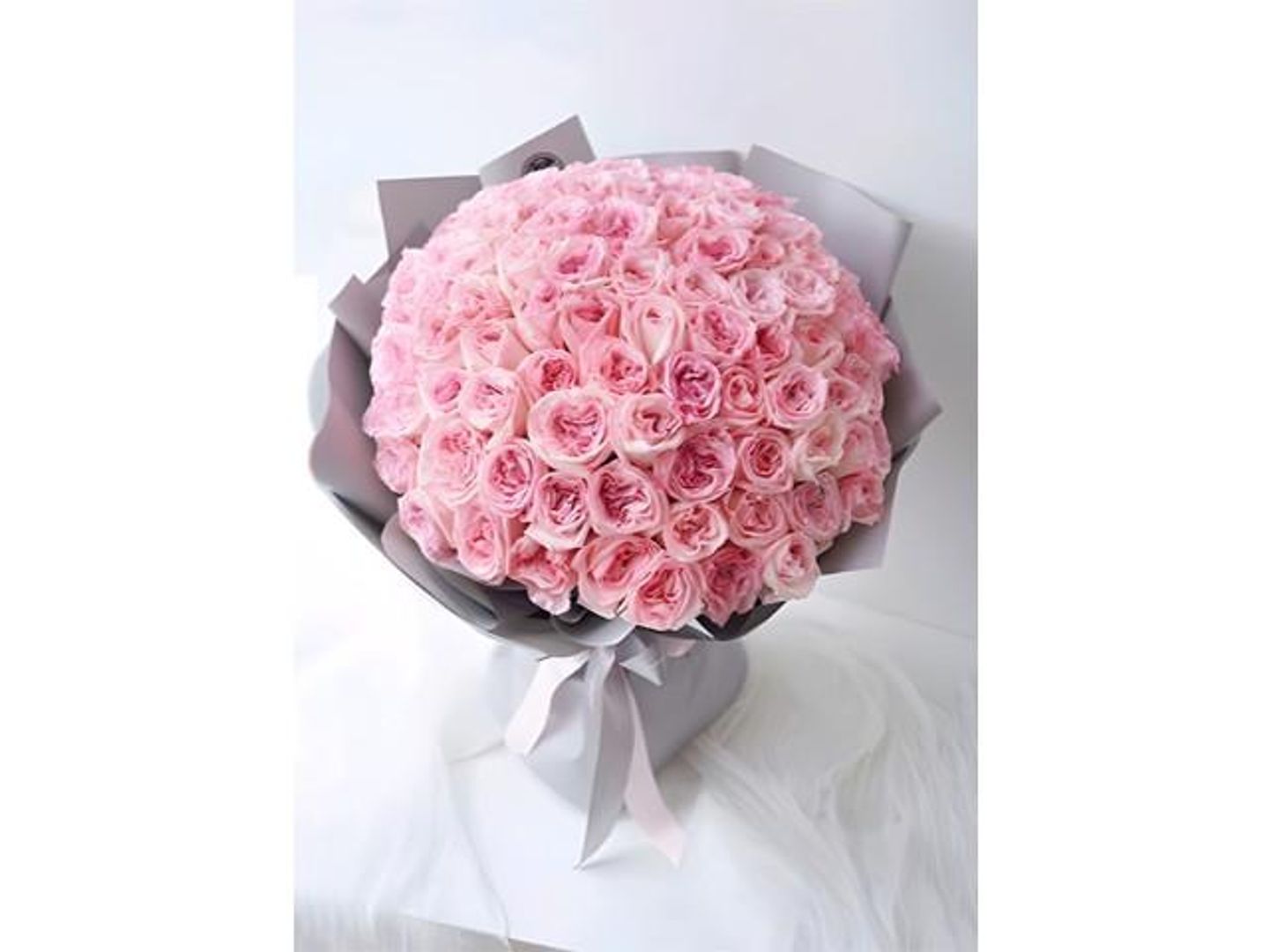 Floral Dreams