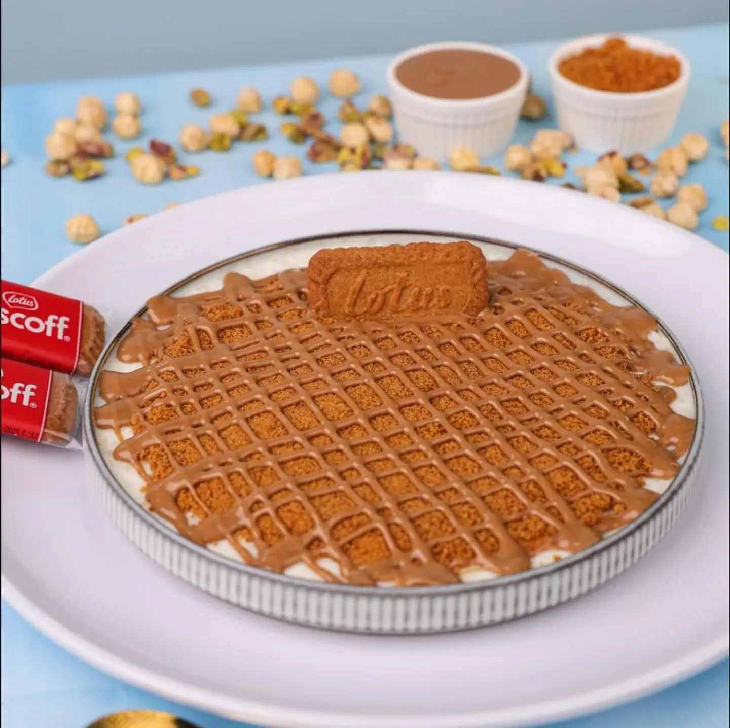 رز بلبن باللوتس بلجيكي
