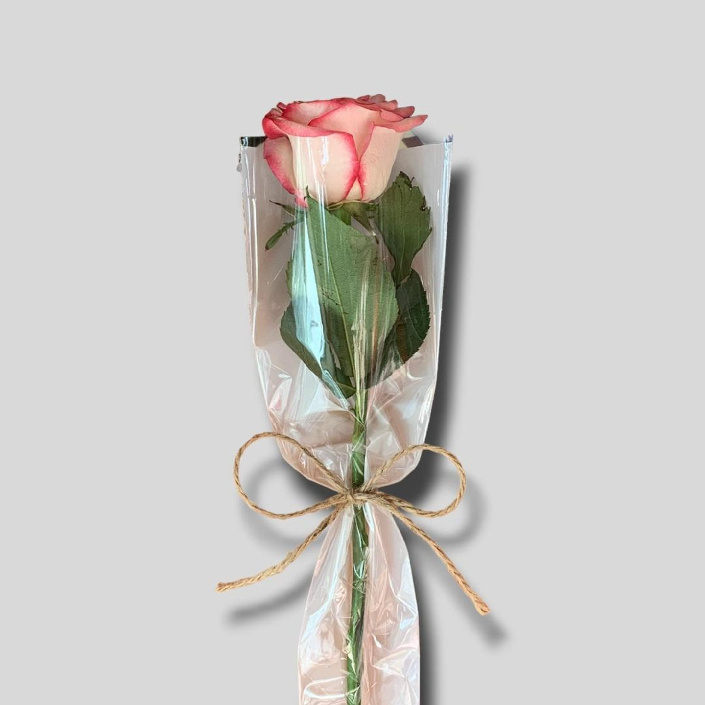 توزيعات الجوري كالر بنك