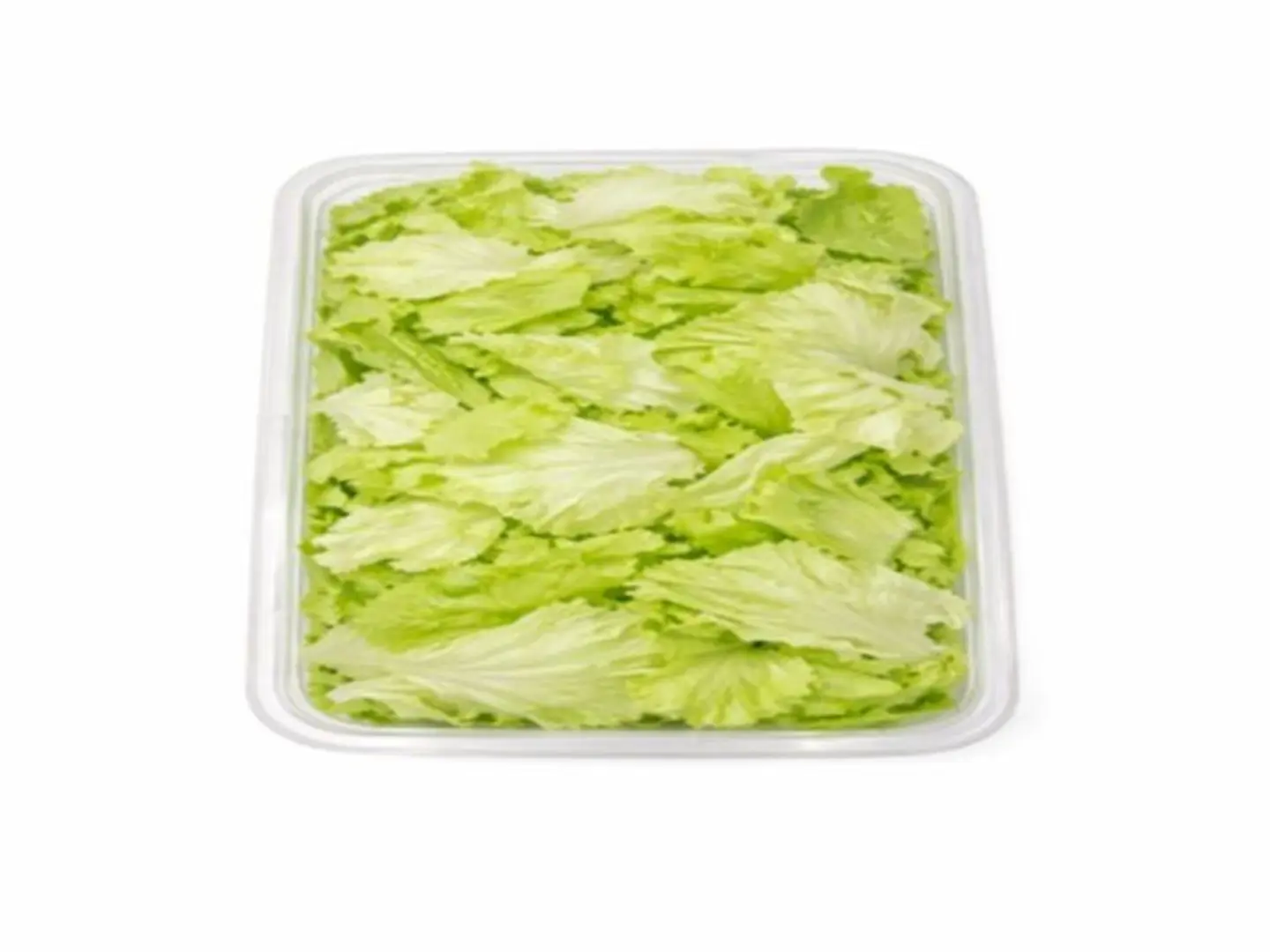 Iceberg Lettuce