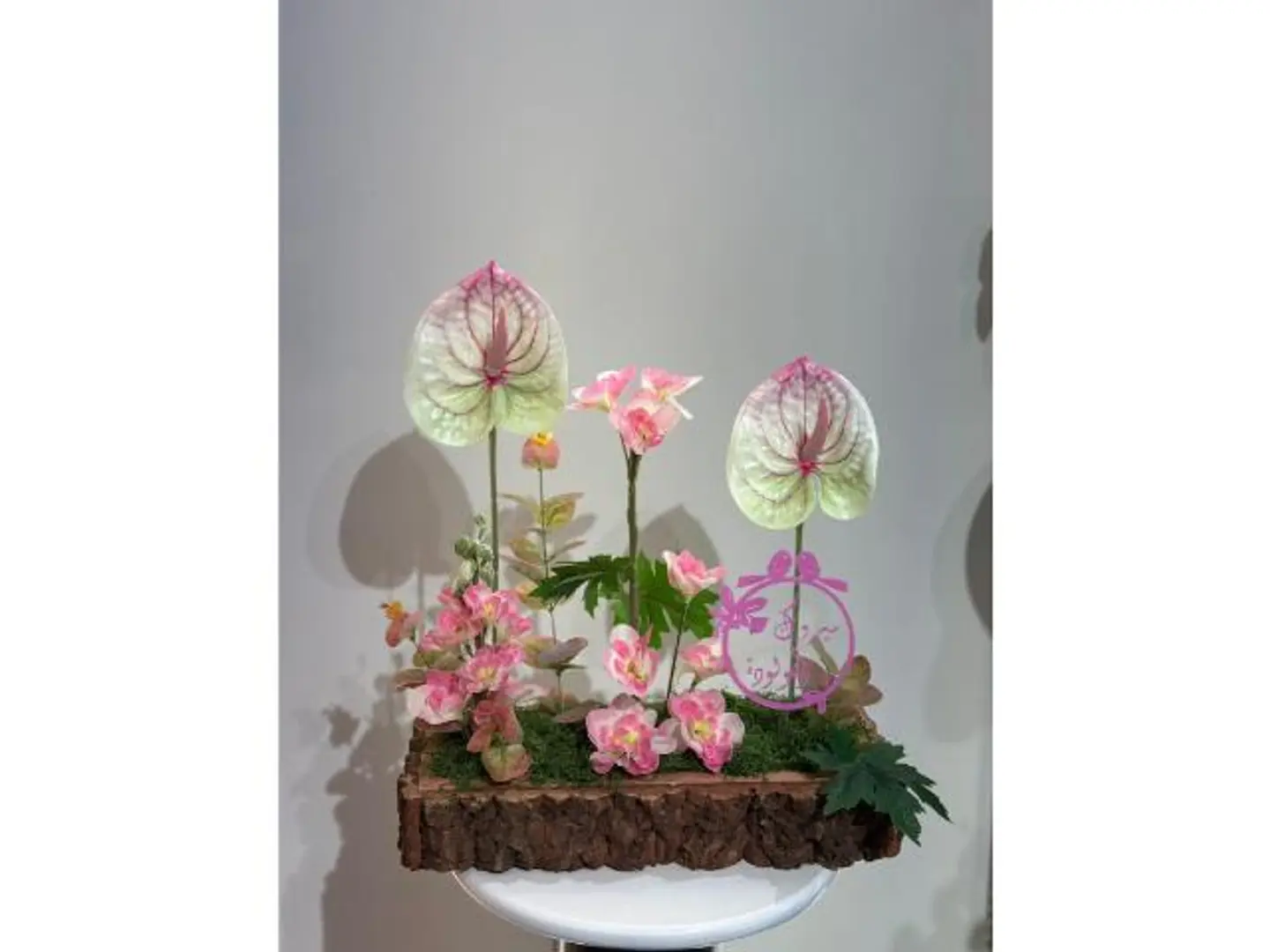 ستاند مواليد