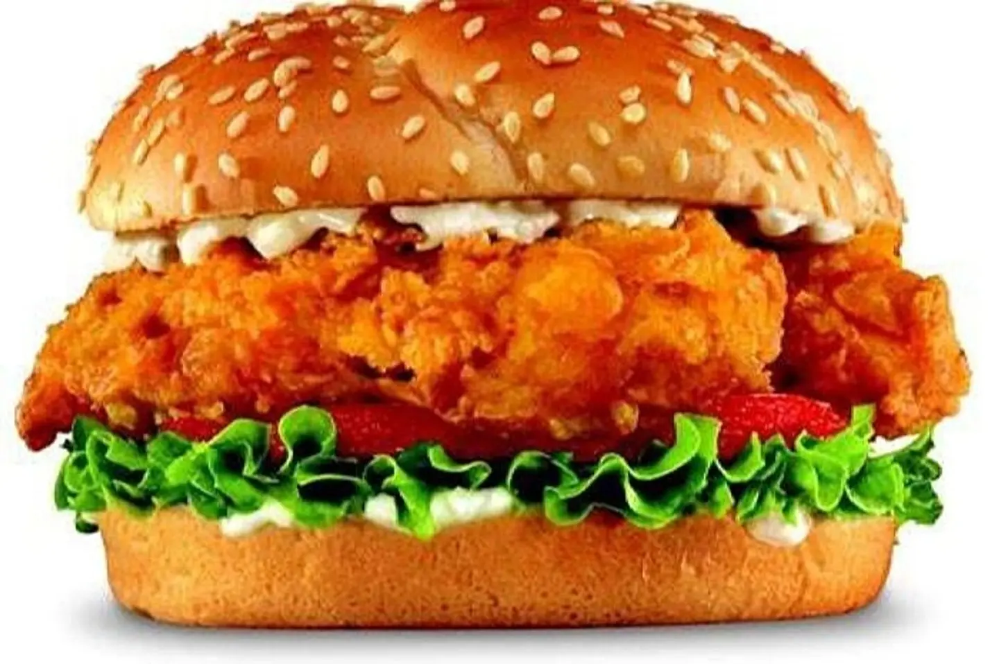 Crispy Chicken Burger