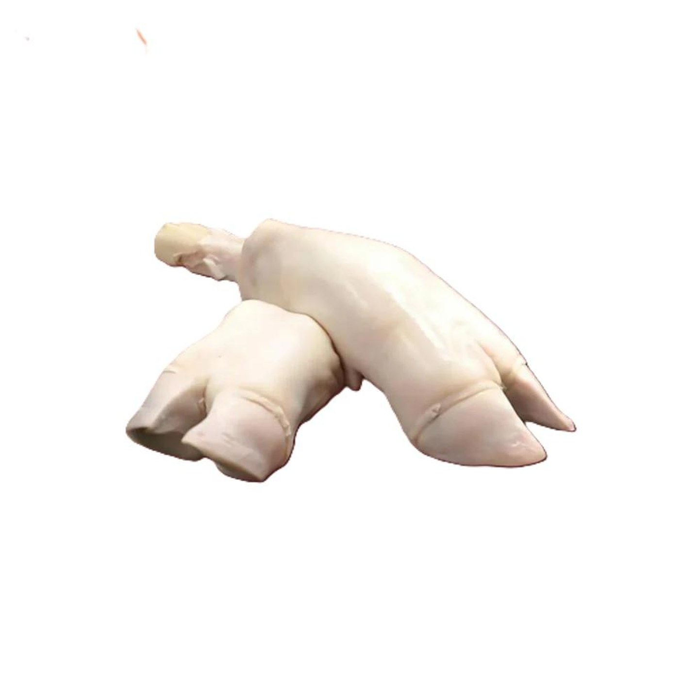 Veal Trotters
