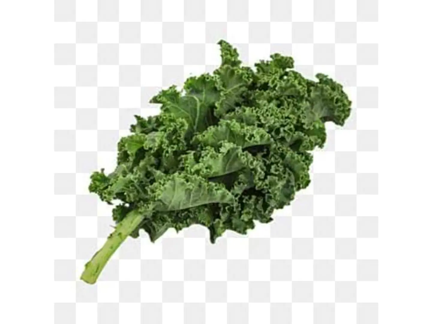 Kale Lettuce Holland