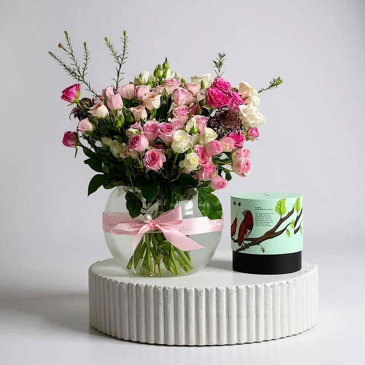 بلاسما انوش