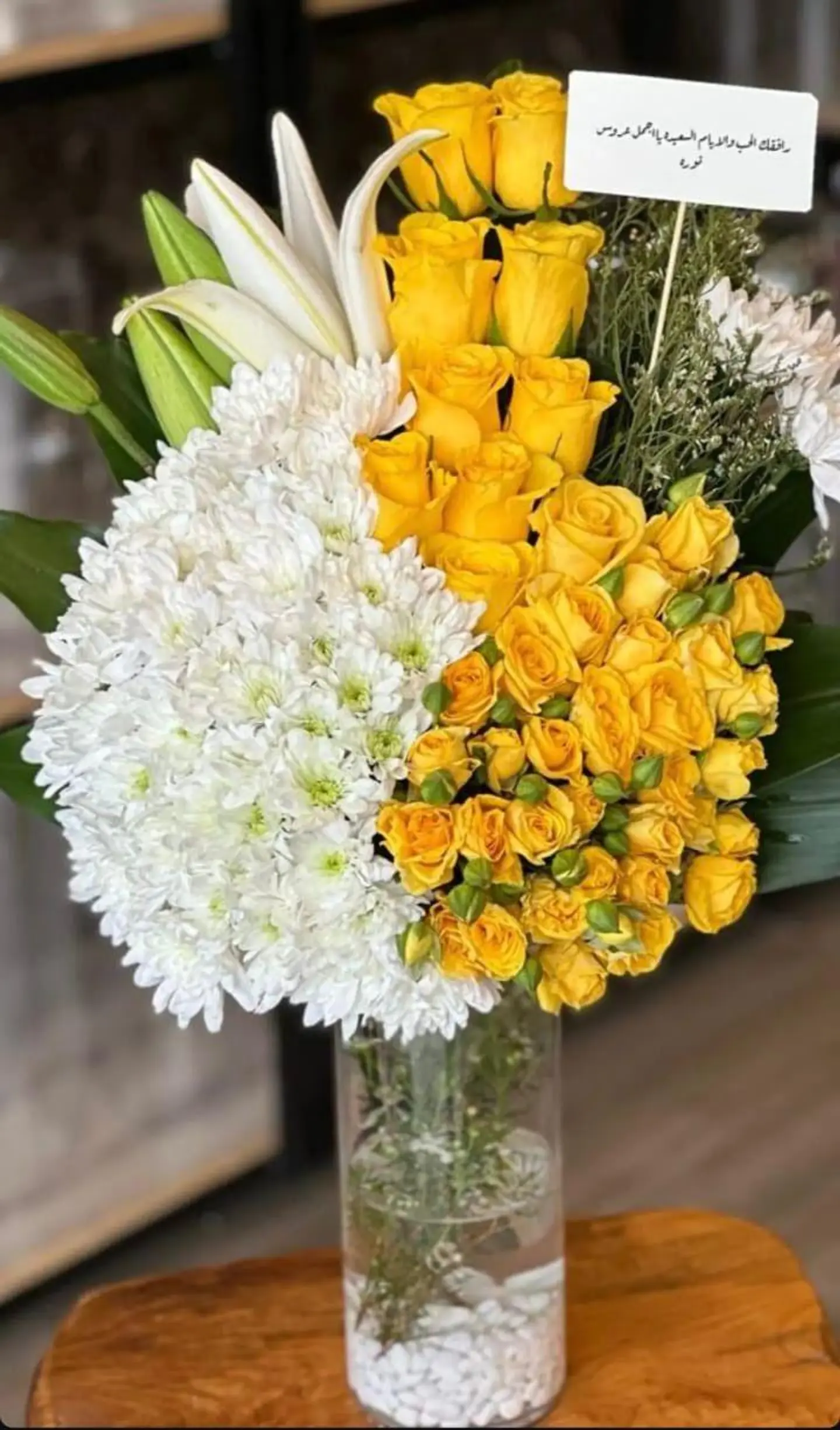 فازه ورد مكس ١6