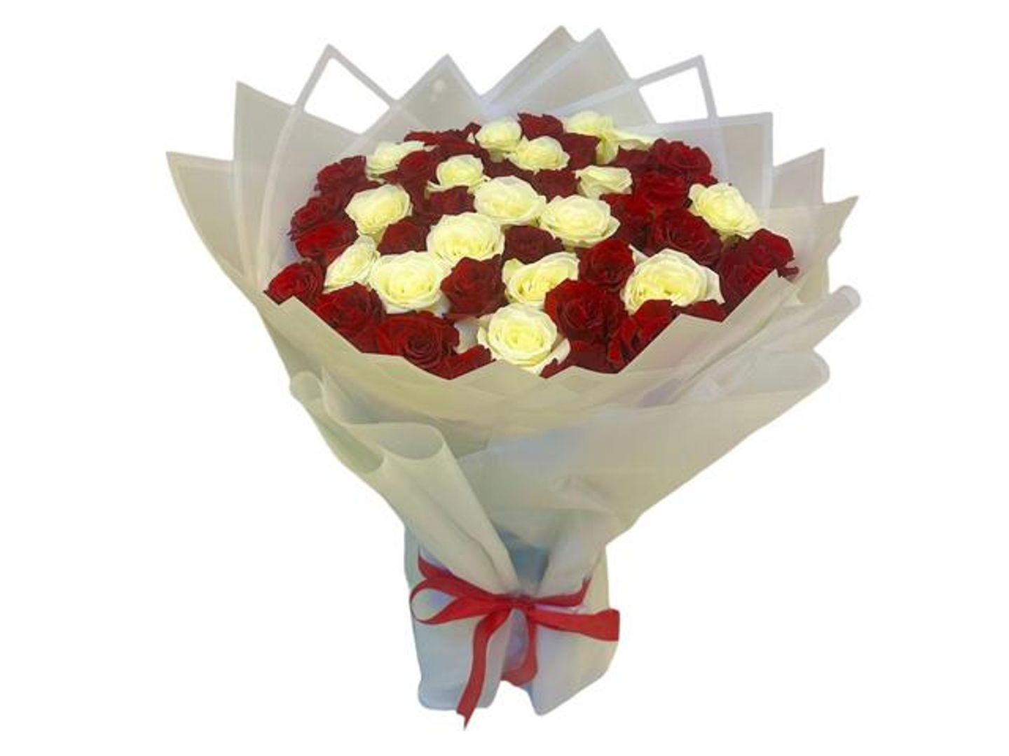 Apology Package V5
