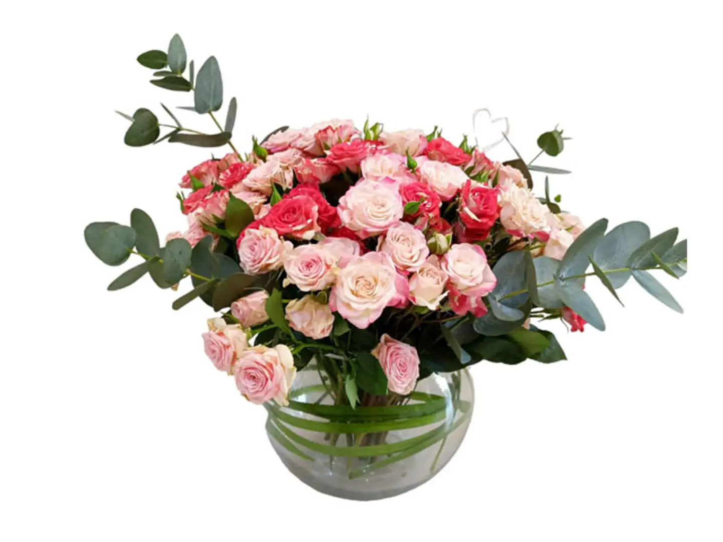 فازه منعشه F