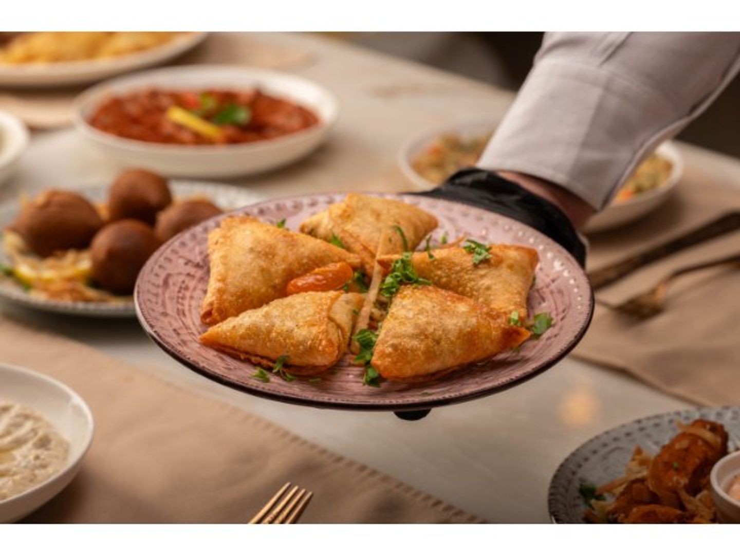 Meat Samosa