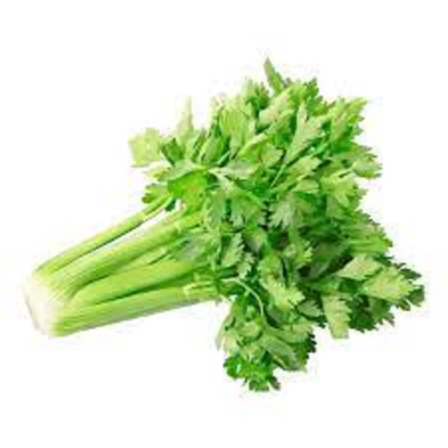 ربطه كرافس