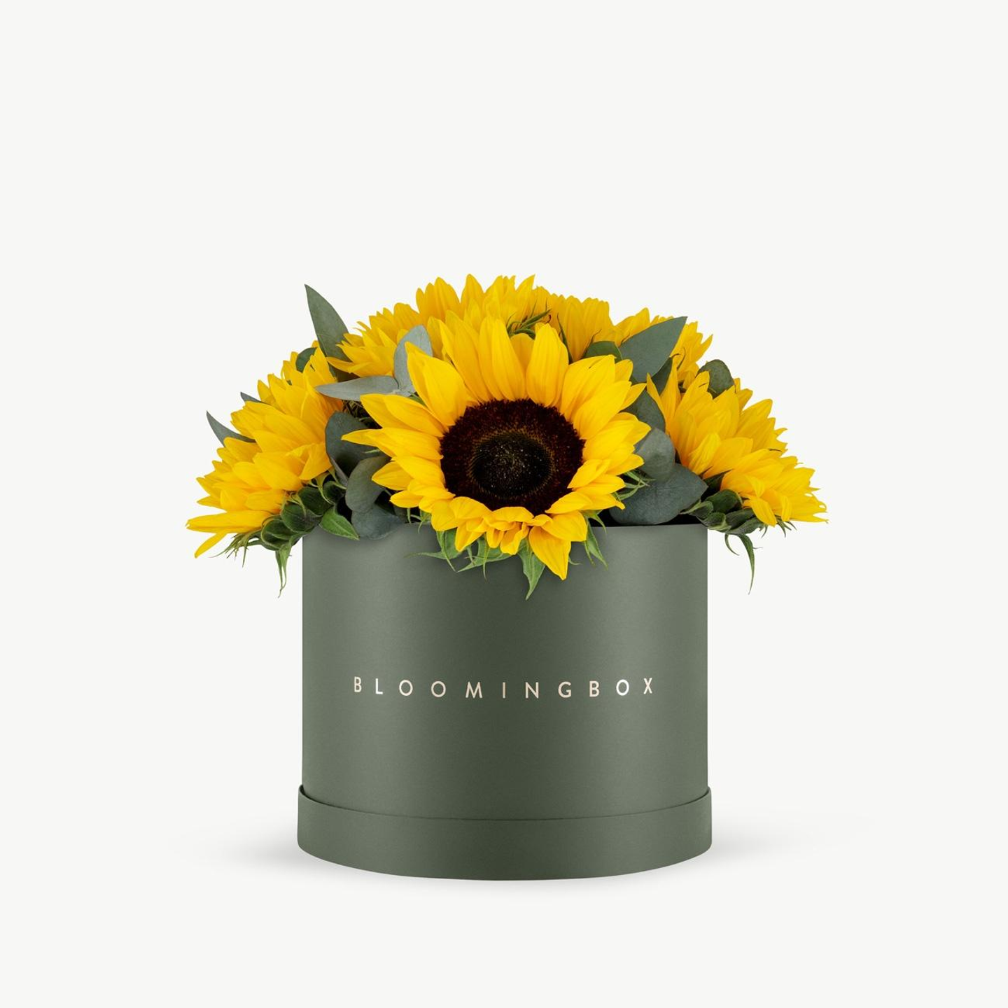 Classic Sunflowers Box Large