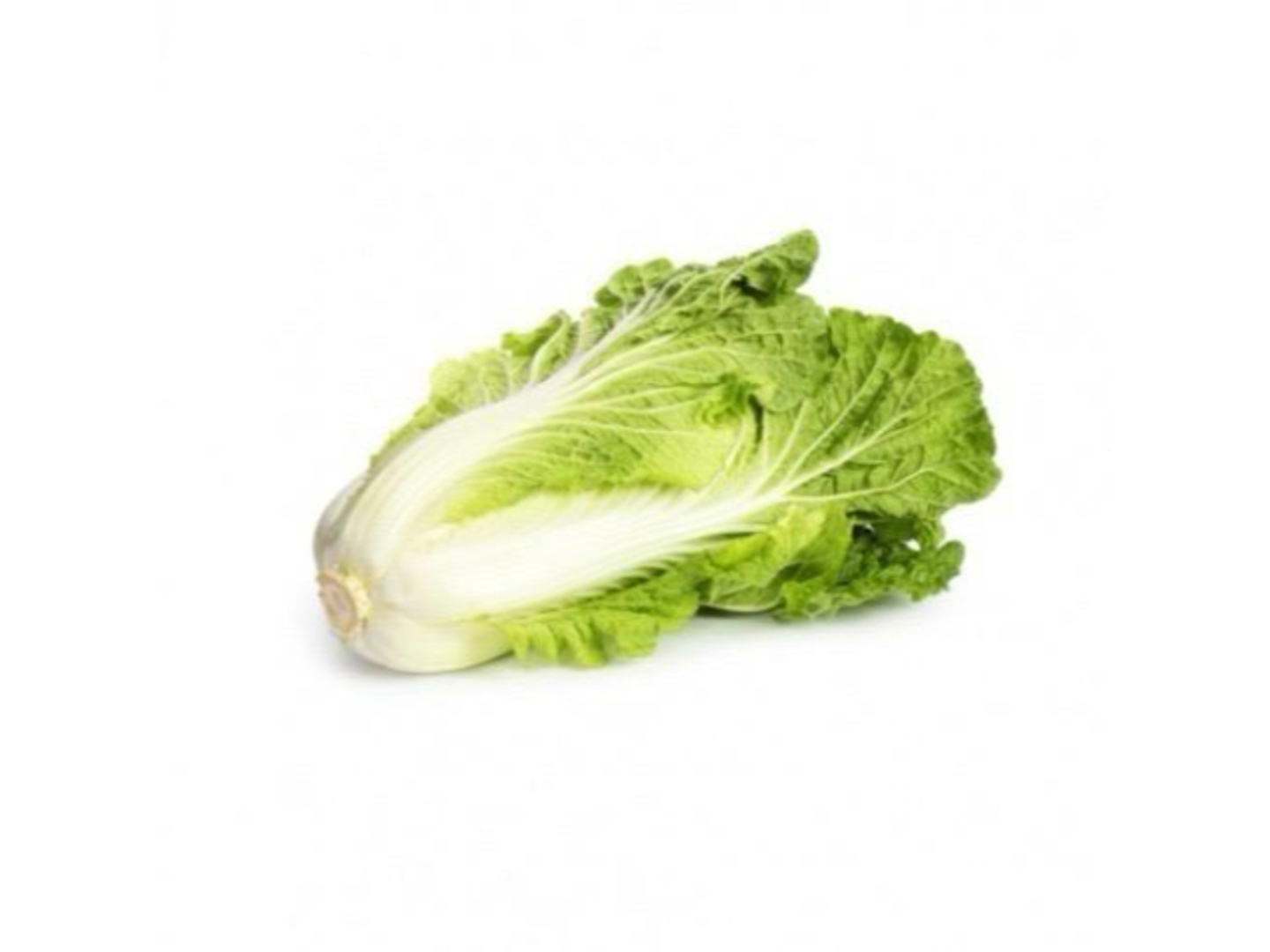Baladi Lettuce