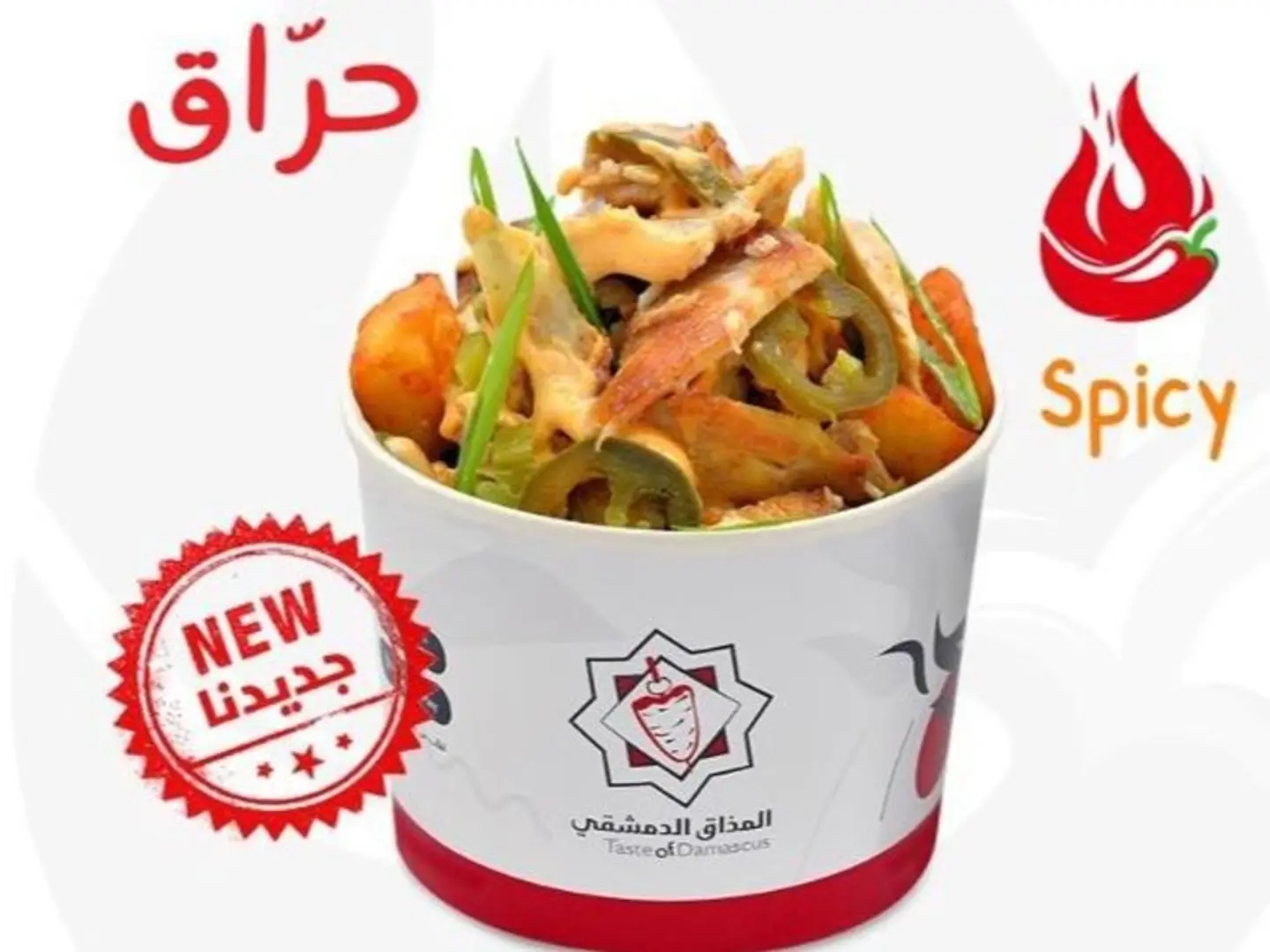 Chicken Shawarma Fries Spicy