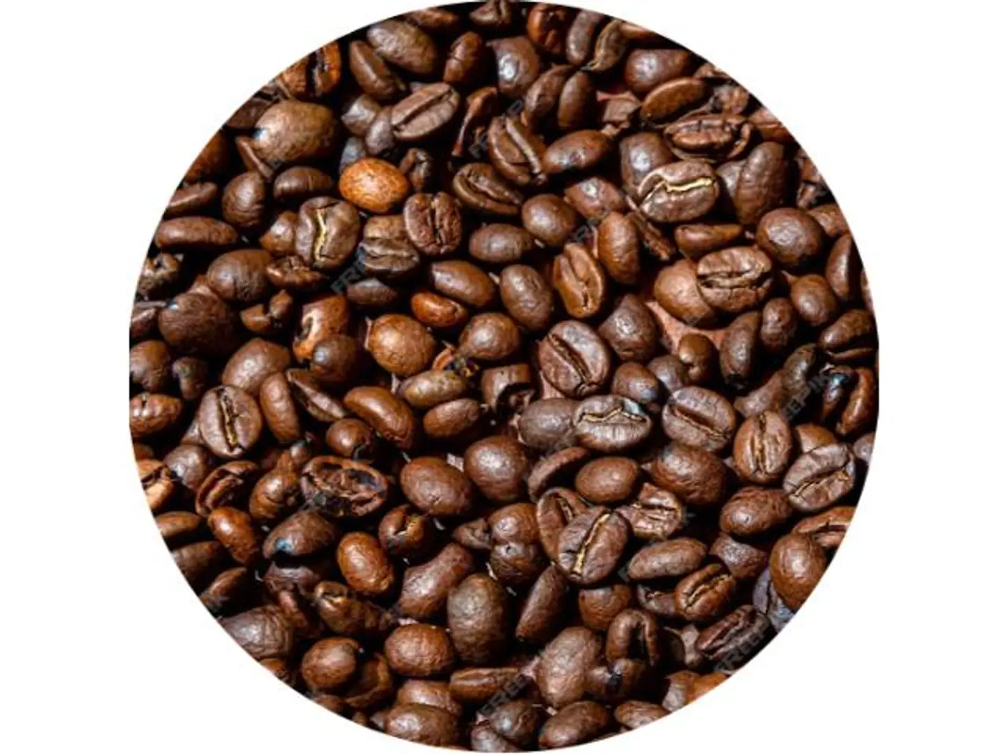 Medium Luqmati Coffee Beans