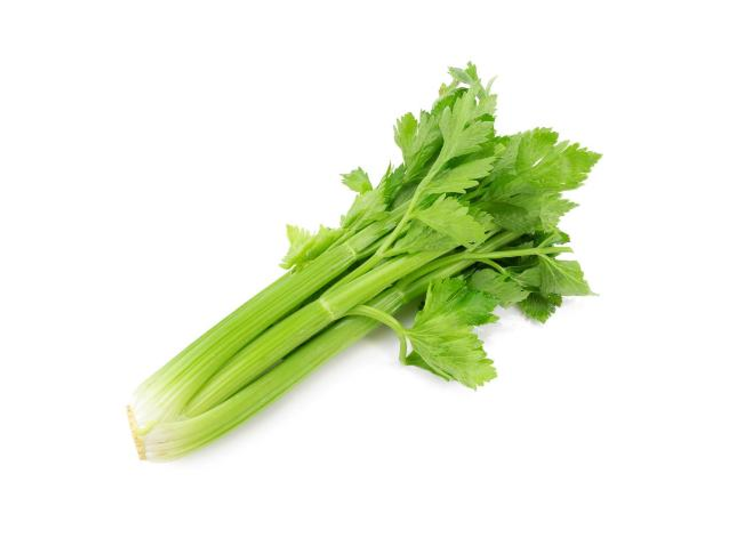 كرفس امريكي أعواد