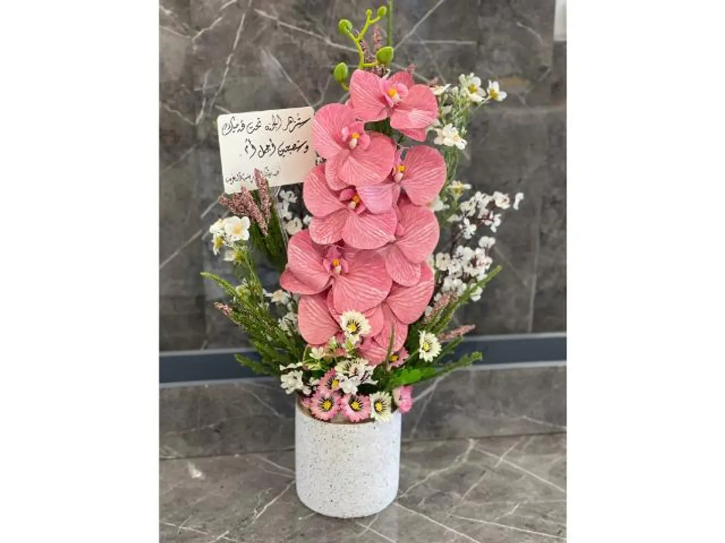 فازة79