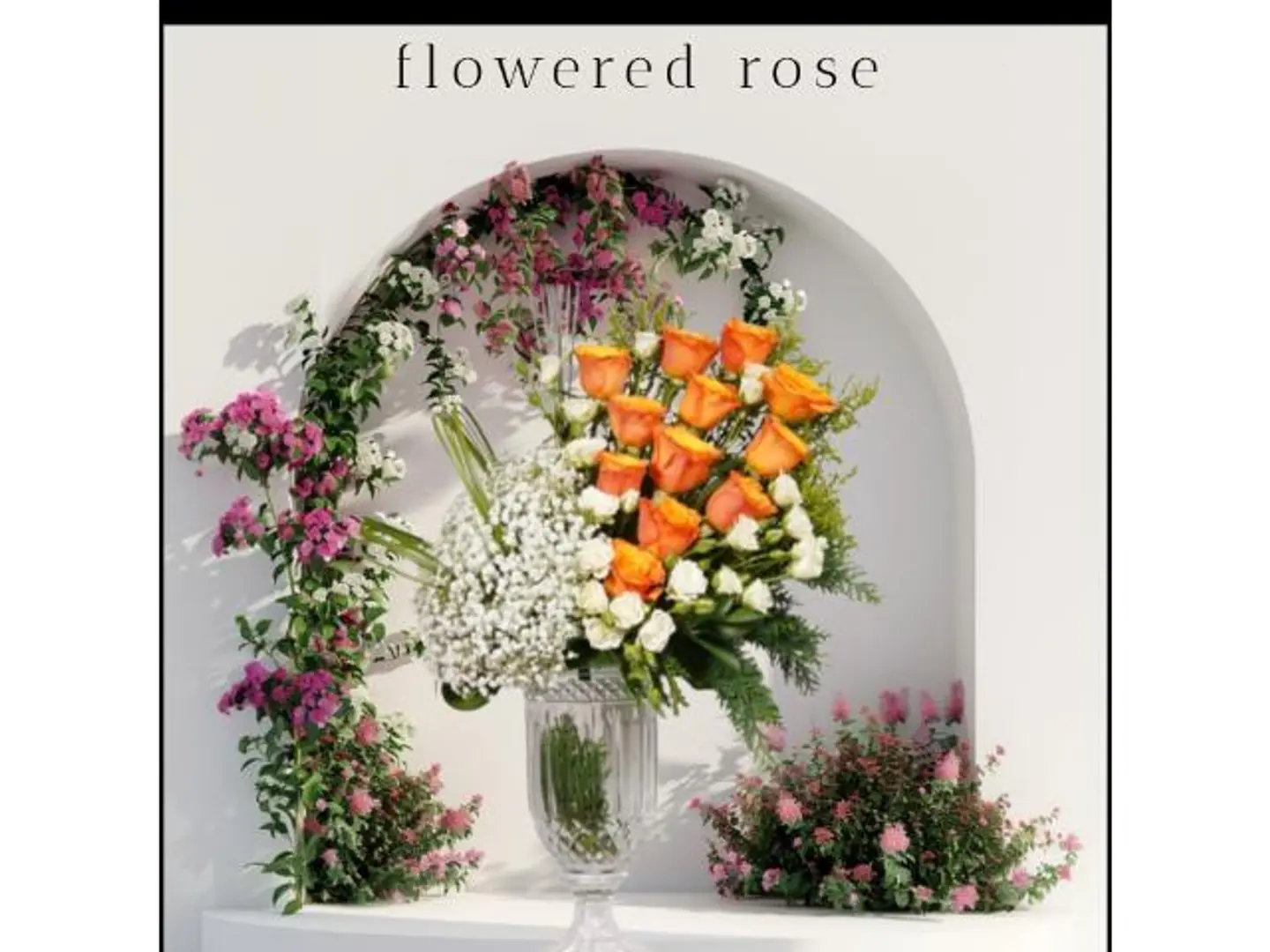 فازت كرات الثلج