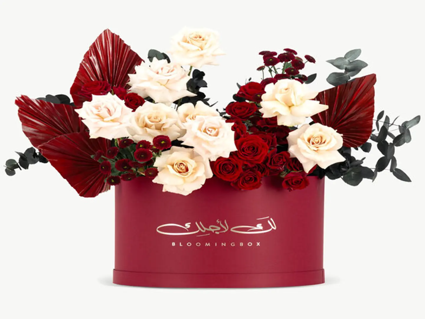 بوكس ادور كبير جدًا