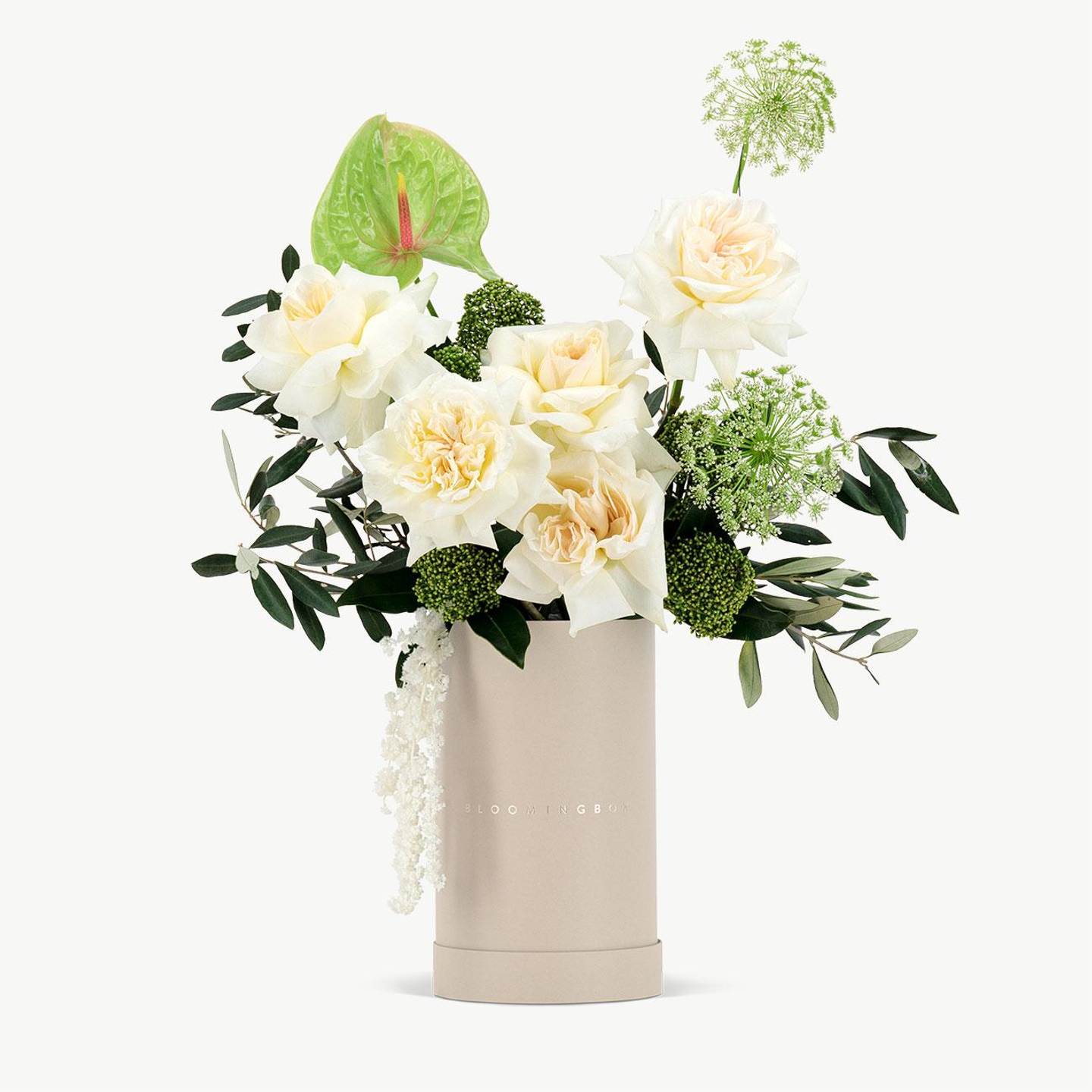 تشكيلة المساء الطويلة