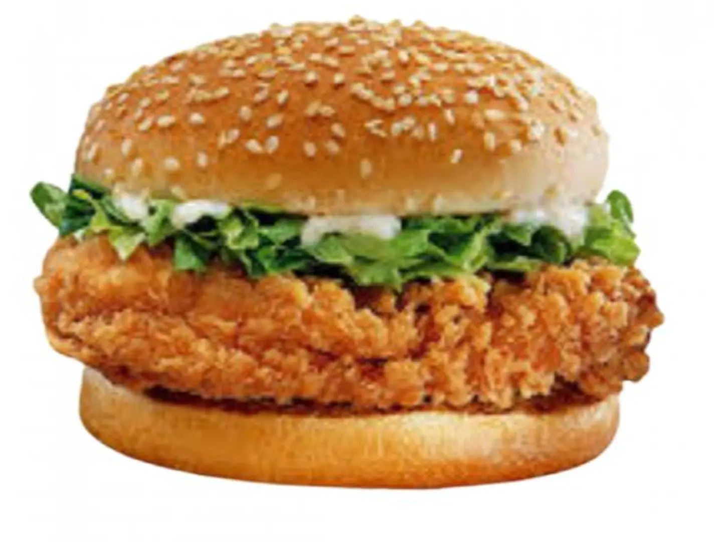 جامبو برجر زنجر