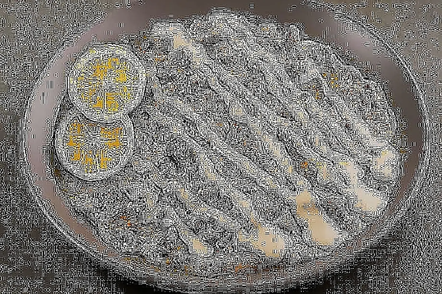 Foul Plate