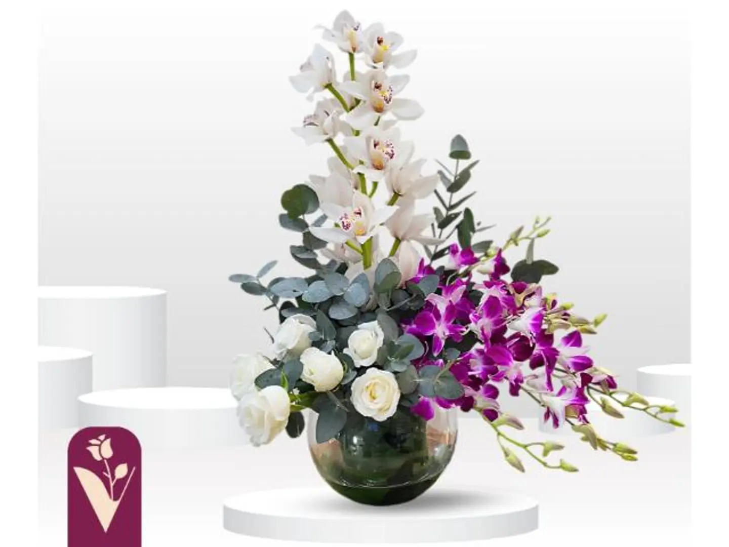 فازة أوركيدا روز