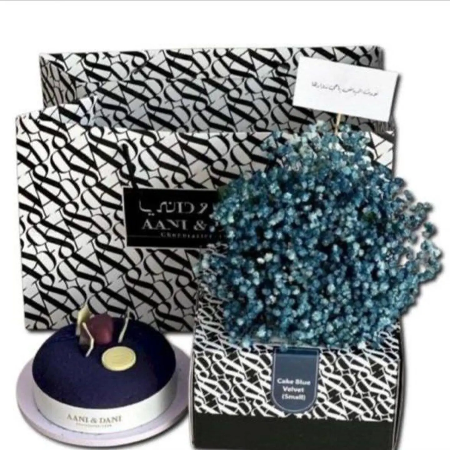 جلاكسي اني وداني مع جبسو فيلا