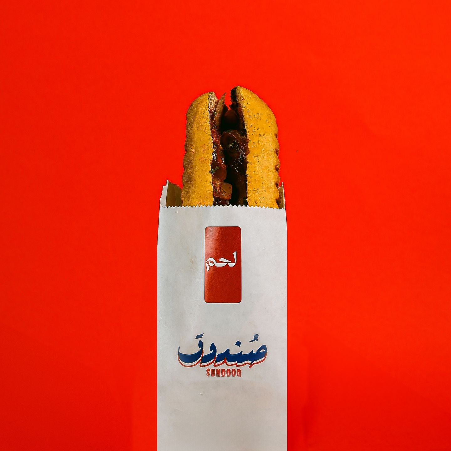 Meat Kebab
