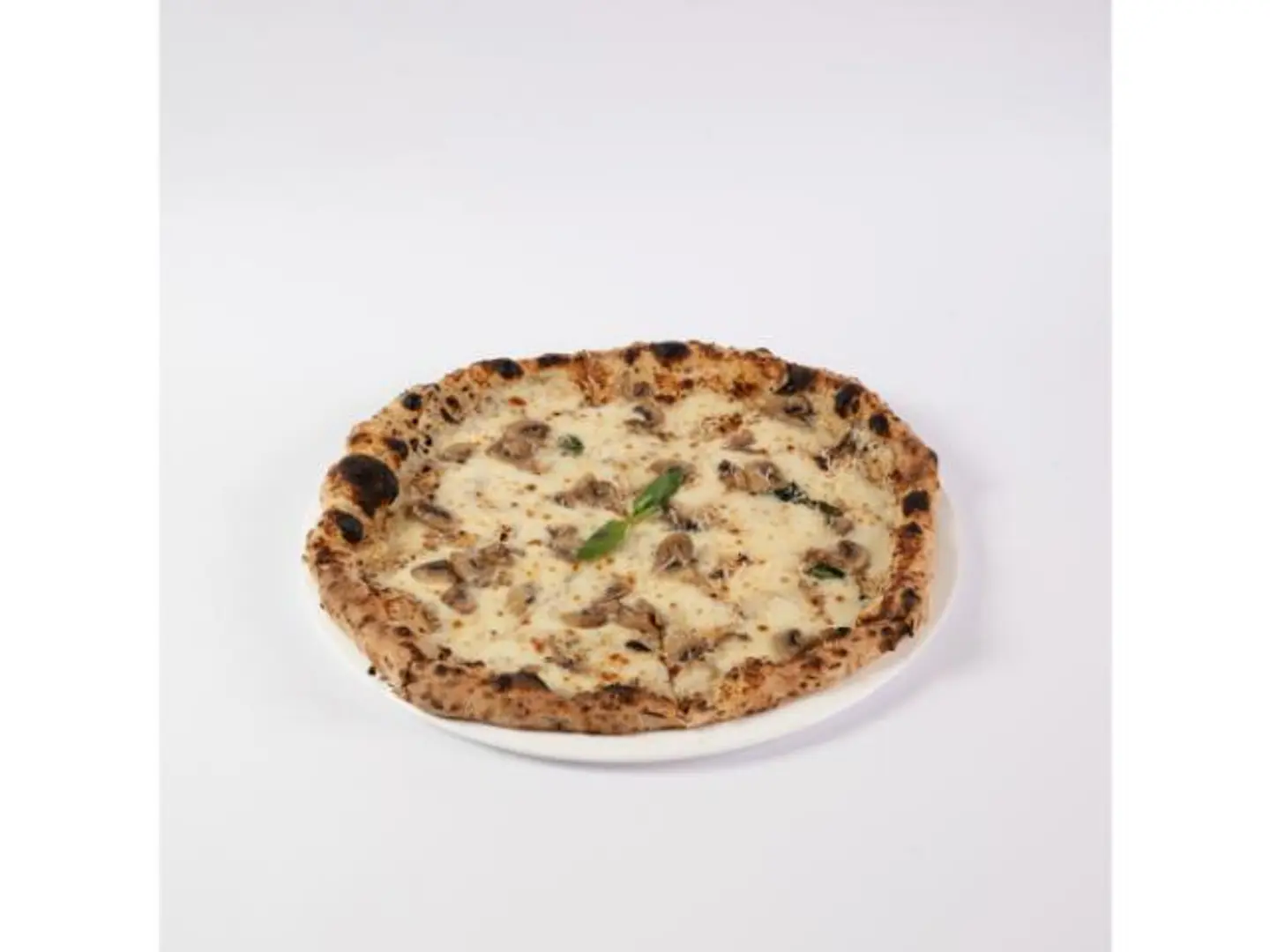 Truffle Pizza