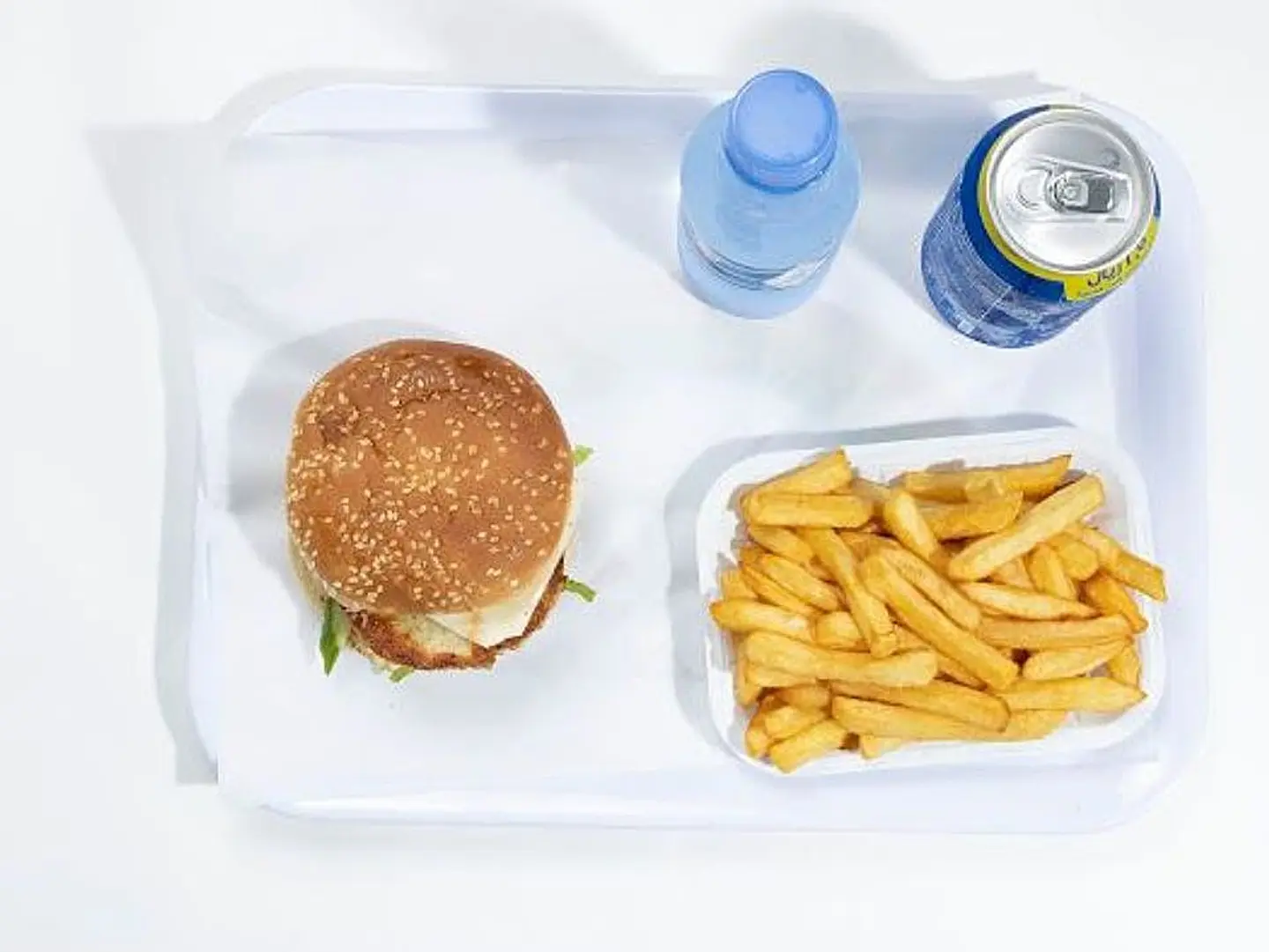 وجبه البرجر الدجاج