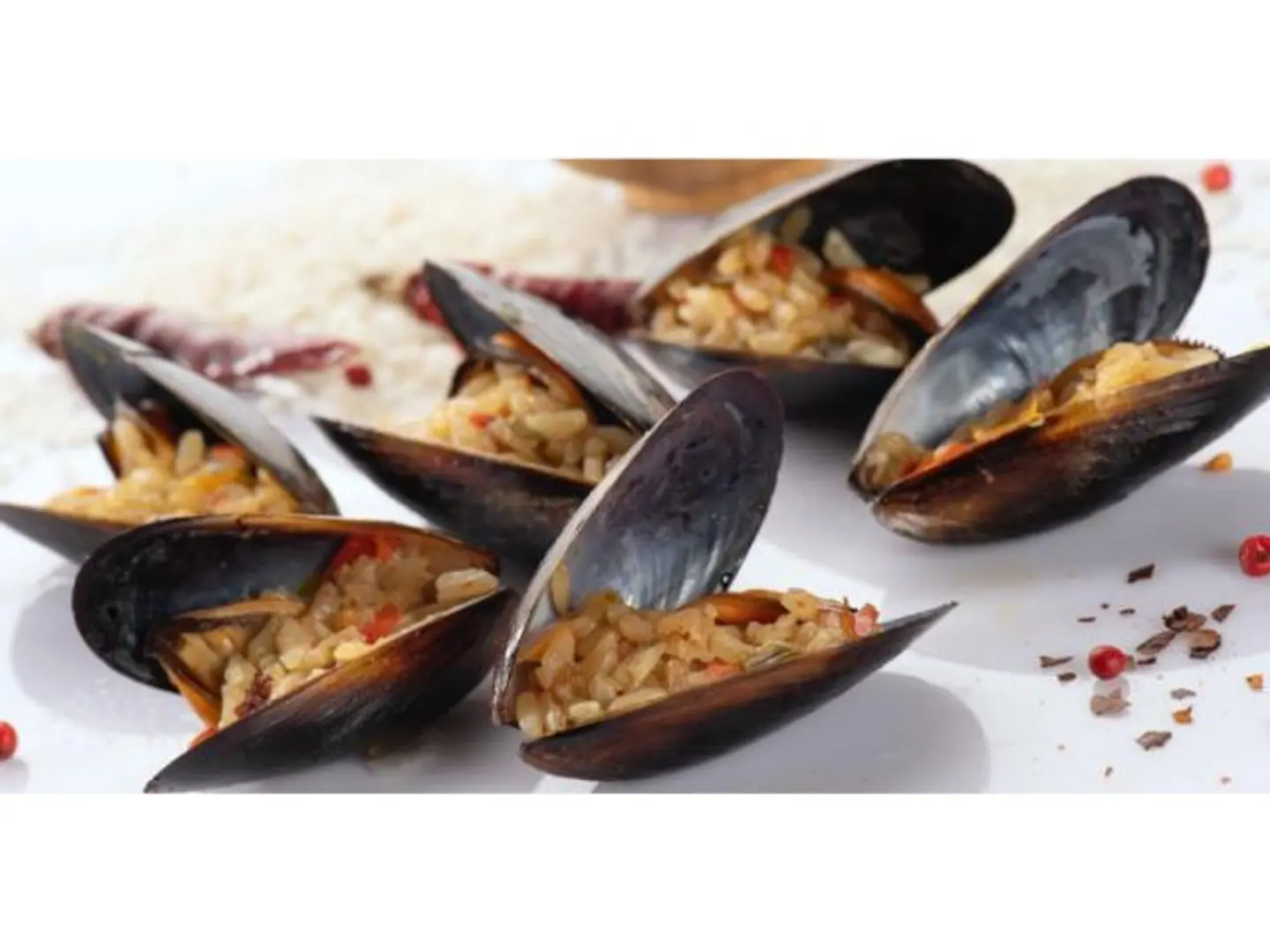 Mussels