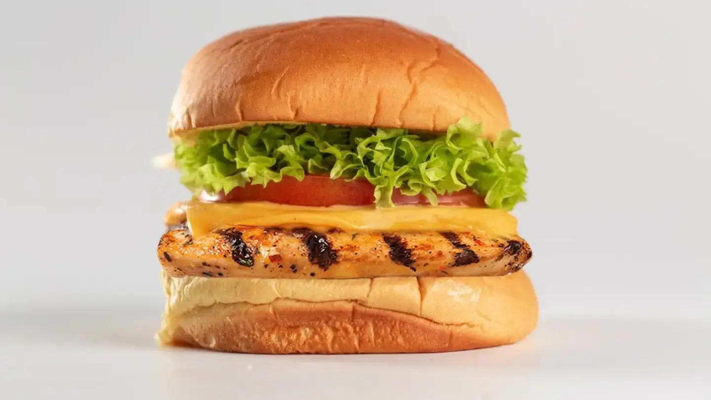 Grilled Chicken Burger