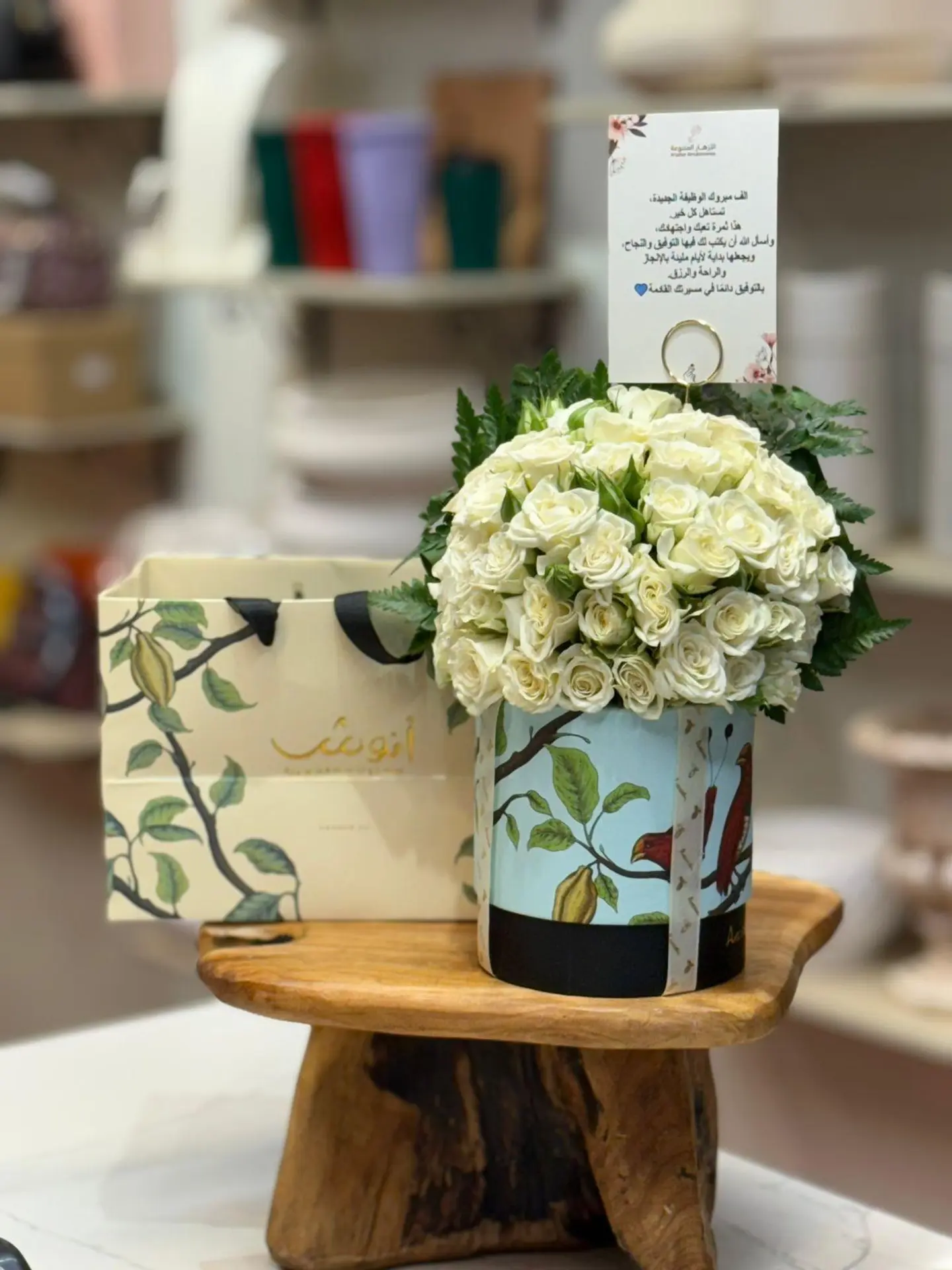 Soft Anoush Coordination