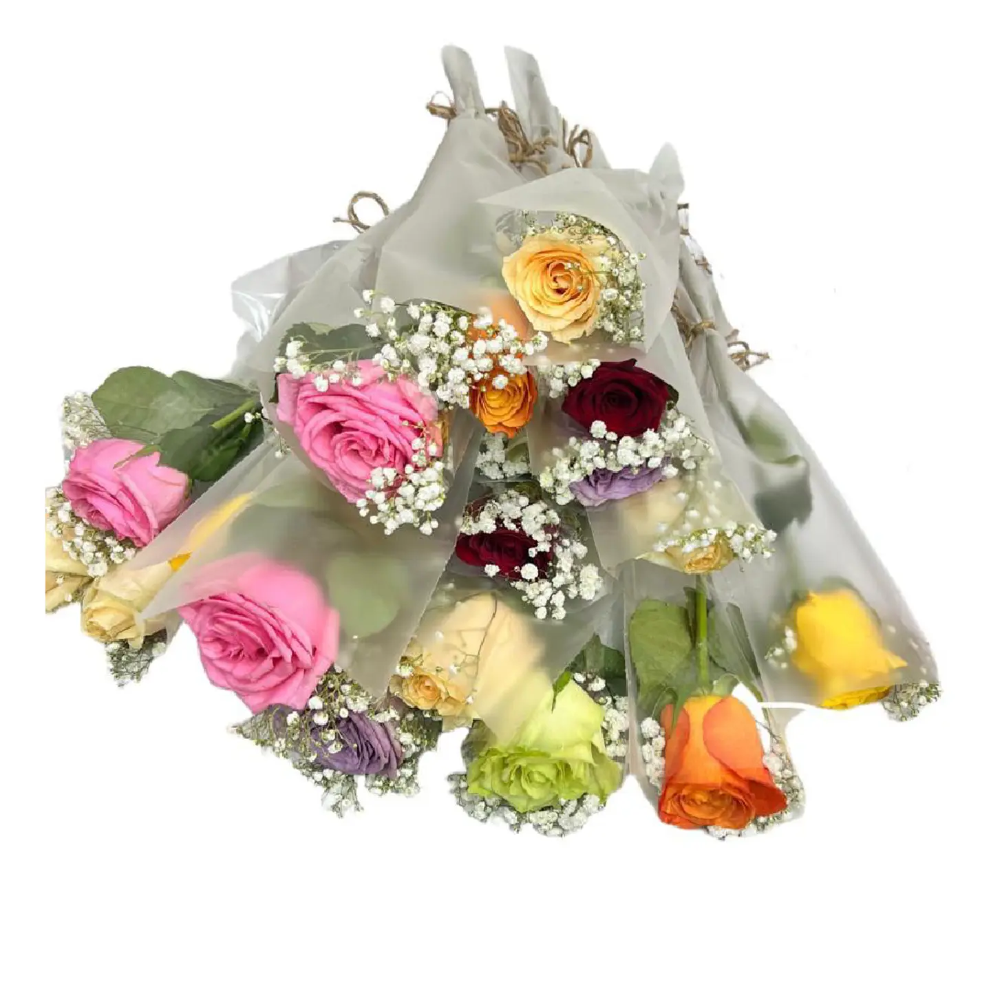 Mixed Single Roses 12 Stem 271