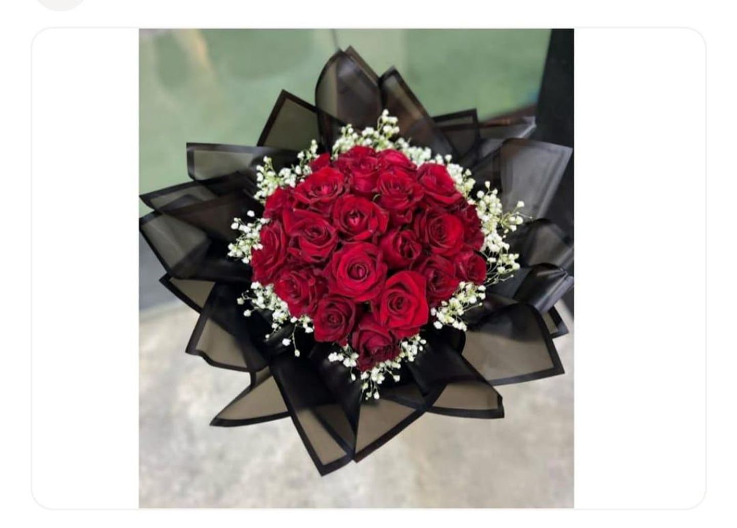 جوري احمر