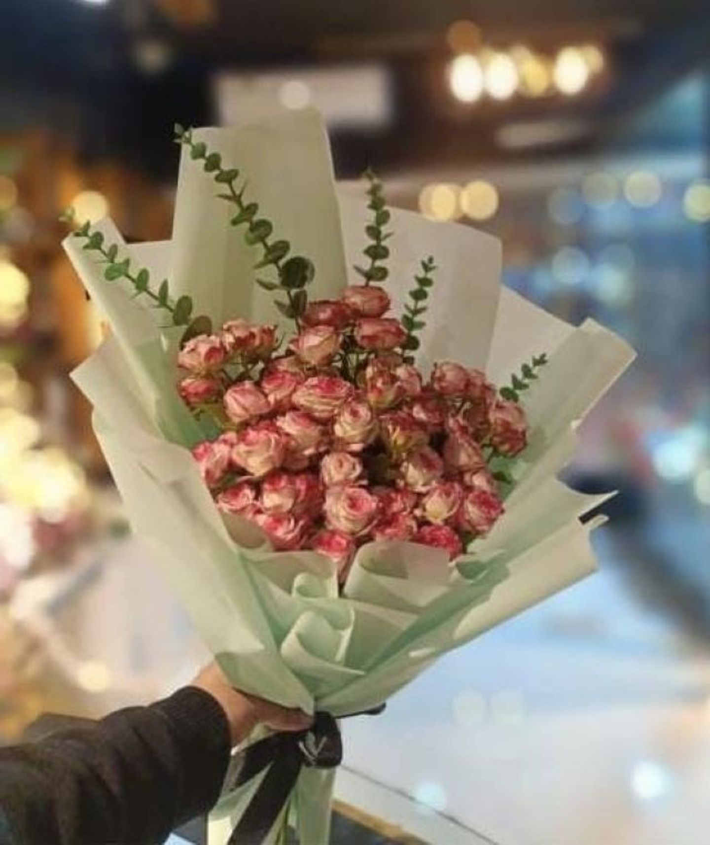 بيبي روز فوشي