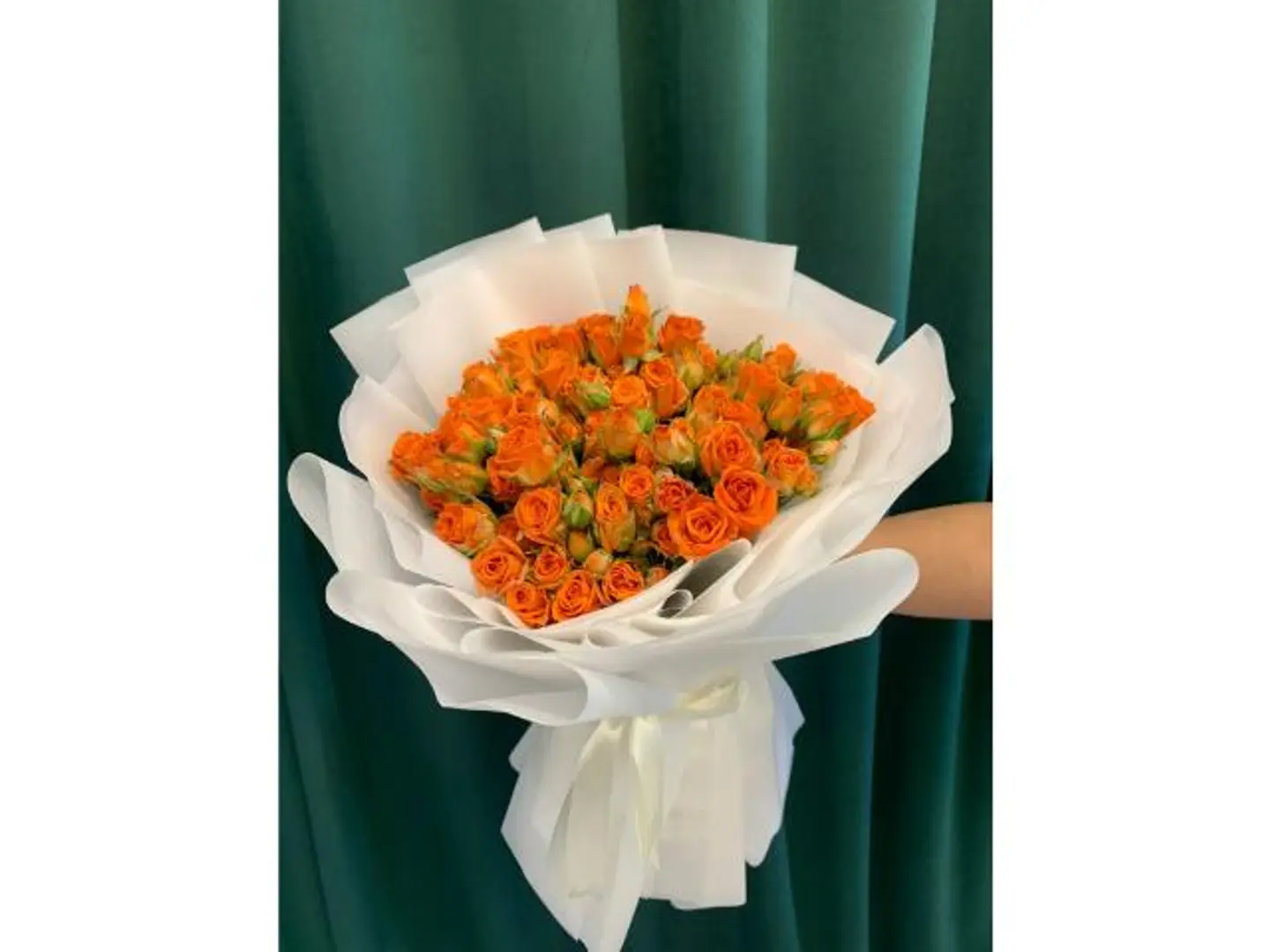 باقة الاورنج