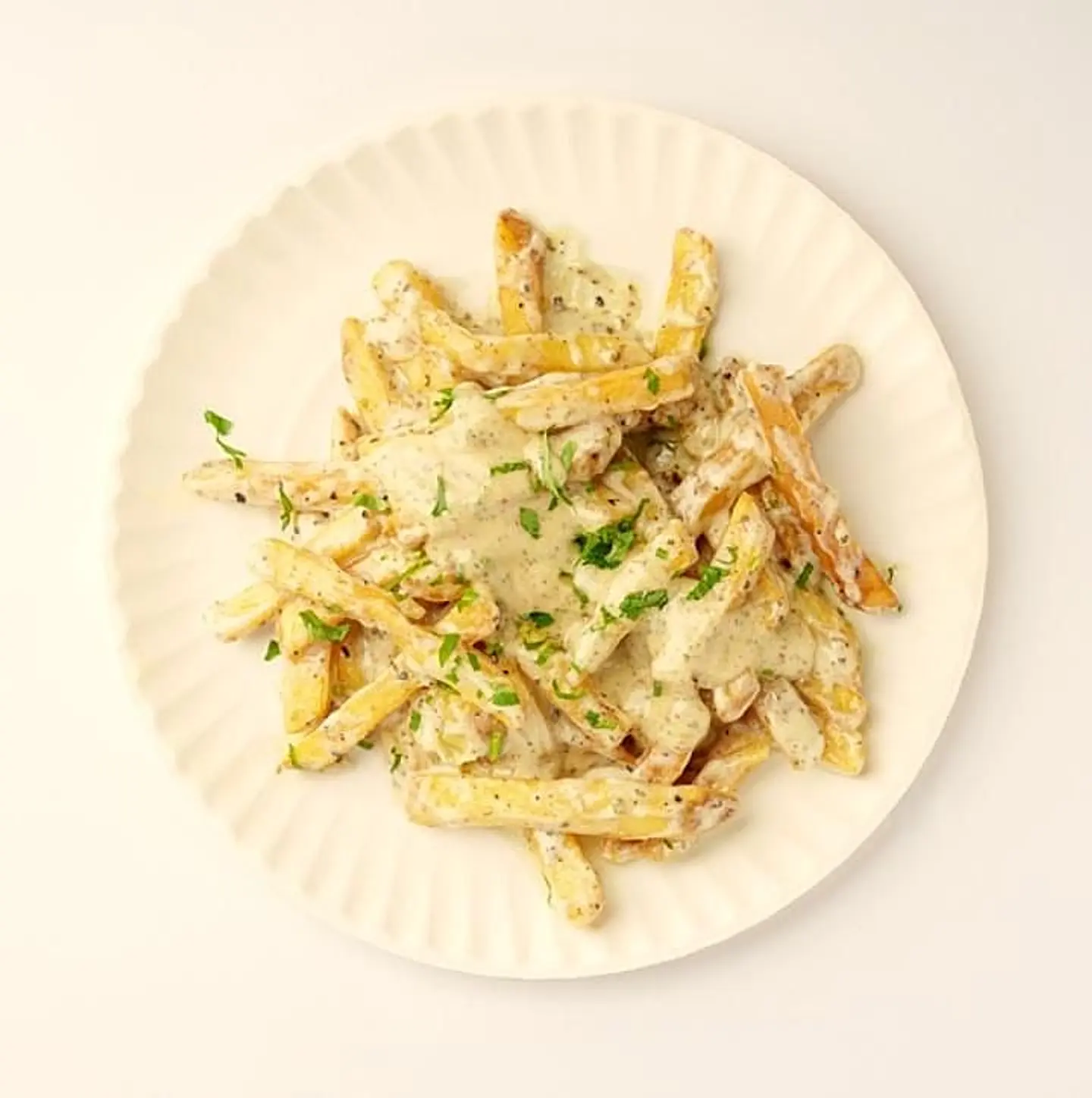 بطاطسيون سيجنتشر