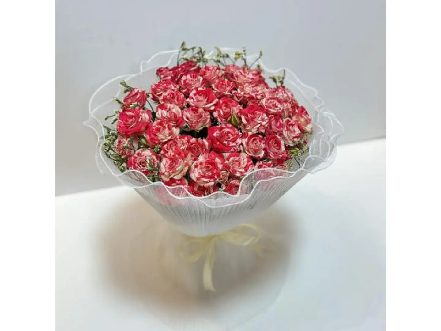 Baby Rose Red And White Striped Bouquet 219